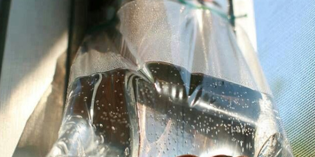 Ne sinek ne böcek evinizin eşiğine yaklaşamayacak: Olan hemen bunu yapsın! Hemen işe yarıyor