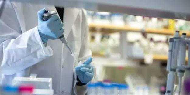 Ne vizon ne yarasa! İşte Omicron'un kökeni