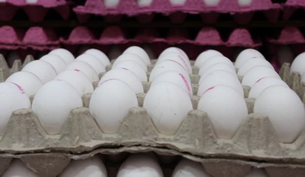 Necati Yıldırım: Yumurtada 1 aylık stok kaldı
