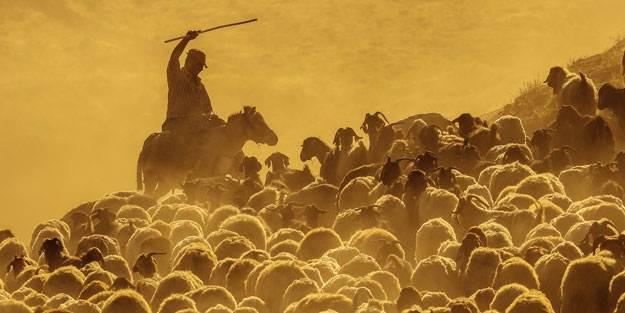 Neden çobanlara kız vermiyorlar?