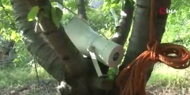 Nedenini duyanlar şaşkın! Bu bahçede 24 saat boyunca oyun havası çalıyor