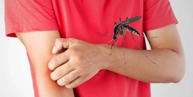 Nedenini duyunca çok şaşıracaksınız! Sivrisinekler ısırmak için kimleri seçiyor?