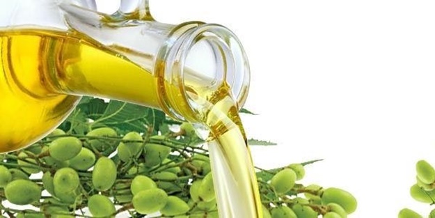 Neem yağı karaciğeri destekliyor