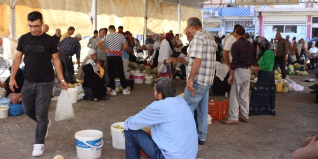 Nefes aldıran organik pazar: Domates, patlıcan ve biber 10 lira