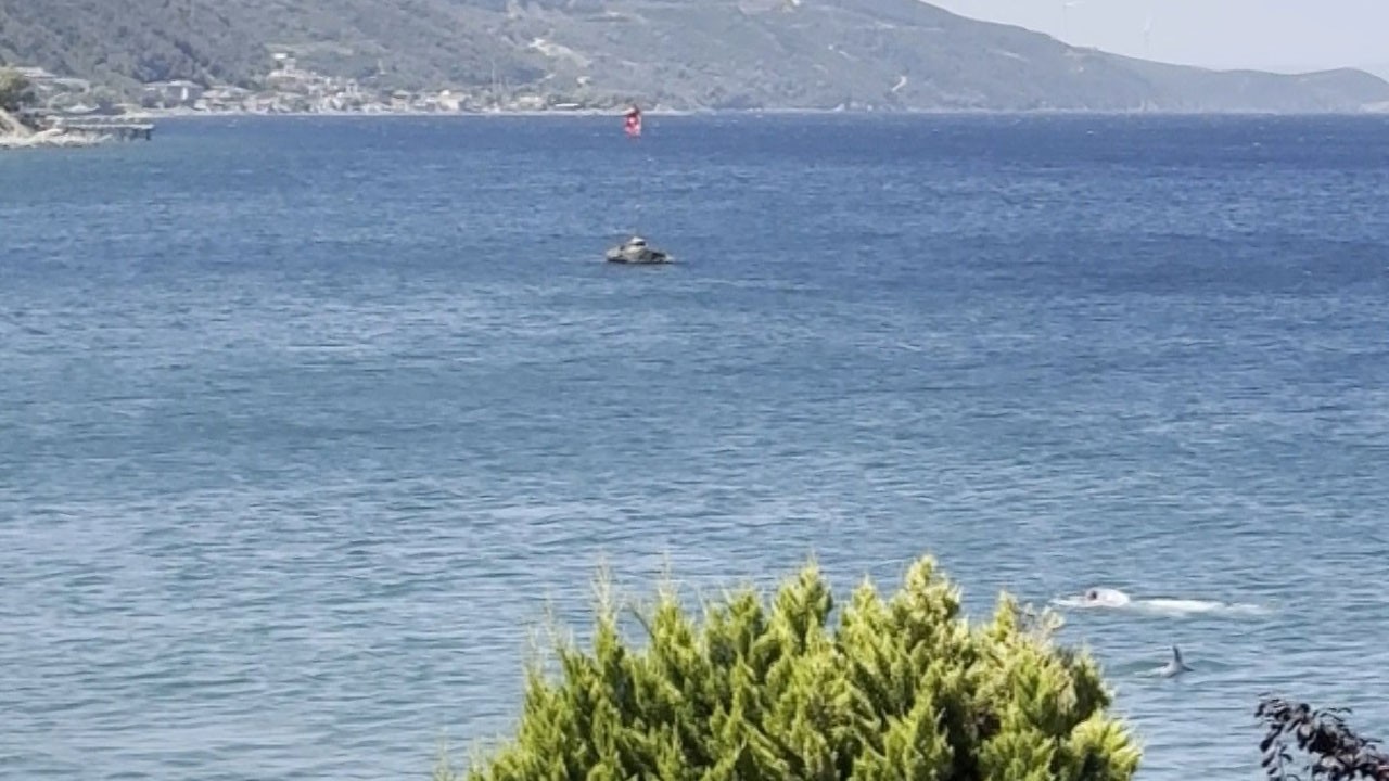 Nefes kesen anlar! Yüzerken bir anda yanında belirdi