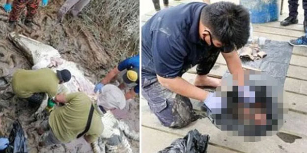 Nehirden mermi gibi fırlayıp genci yuttu