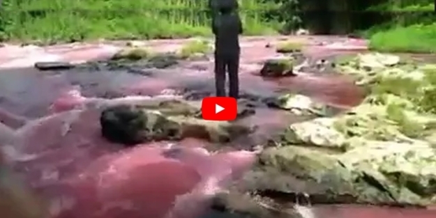 Nehir'den oluk oluk Müslüman kanı akıyor