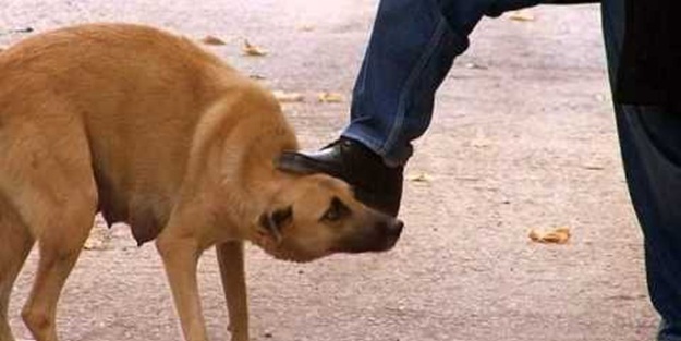 Neler kul hakkına girer? - FOTO