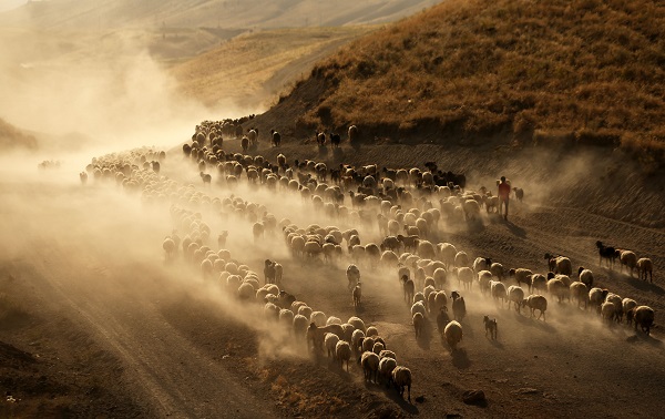 Nemrut Dağı’nda zorlu mesai