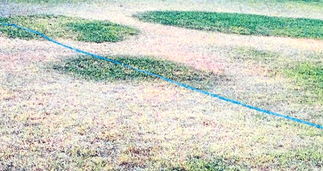 Nereden nereye! Çimleri sulayamaz hale geldiler