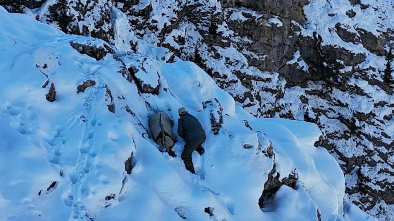 Nesli tükenmekte olan hayvanları avlıyordu! O avcı kıskıvrak yakalandı