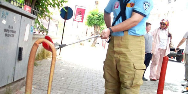 Nesli tükenmekte! Yılan zannedip öldürmek istediler