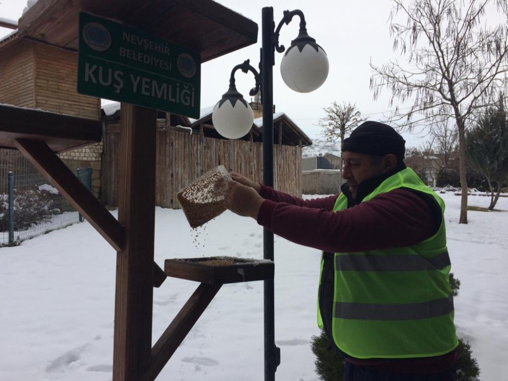 Nevşehir Belediyesi Sokak hayvanlarını unutmadı 