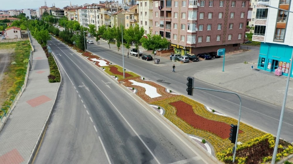 Nevşehir çiçek açıyor 