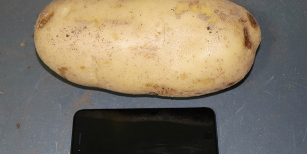 Nevşehir patatesi, büyüklükte Diyarbakır karpuzu ile yarışıyor