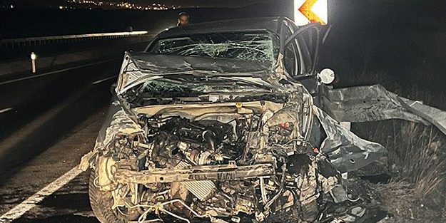 Nevşehir’de başıboş köpek kazaya neden oldu