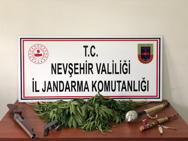 Nevşehir’de İHA aracılığıyla 30 kök Hint keneviri ele geçirildi 