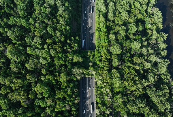 New Jersey'deki "Ekolojik Köprüler"