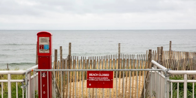 New York'ta köpek balığı alarmı