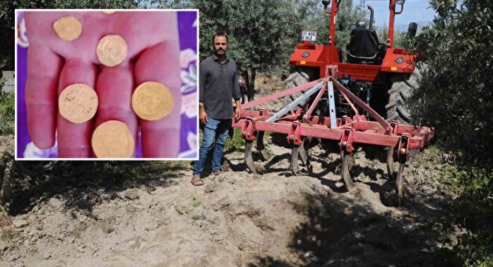 Neye niyet neye kısmet! Zeytin hasadı yaparken altın buldu