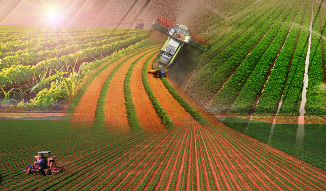 Neymiş efendim ‘tarımda mahvolmuşuz’ Rakamlar Yalanları Çürütüyor! 7 üründe dünya lideriyiz