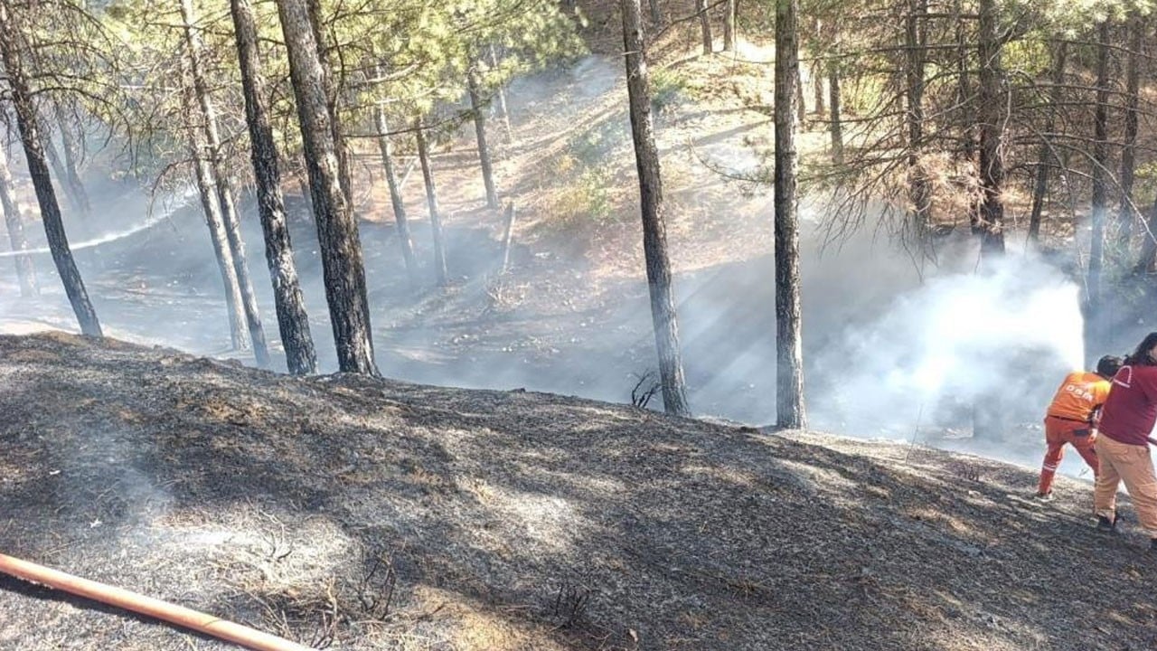 Neyse ki Bingöl'de korkulan olmadı