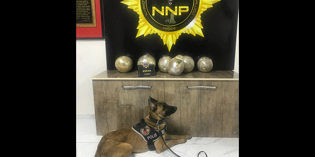 14 kilo 450 gram esrarla yakalanan zanlı tutuklandı