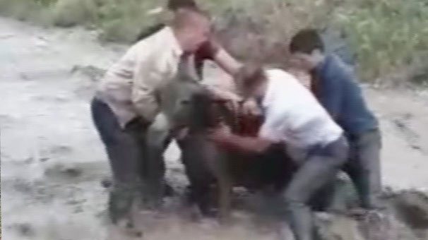 Niğde'de eşeği selden kurtarmak için canlarını tehlikeye attılar