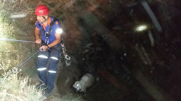Niğde'de koyun kurtarıldı, sahibi boğuldu
