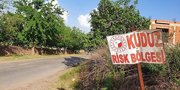 Niğde'de kuduz köpek paniği! Olayın yaşandığı bölge karantinada
