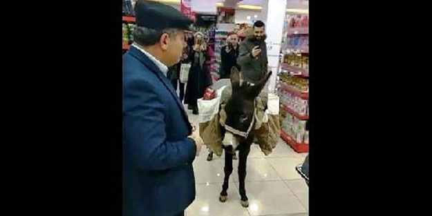 Niğde'de markete eşeğiyle giren adam ifade verdi: Şaka yaptım