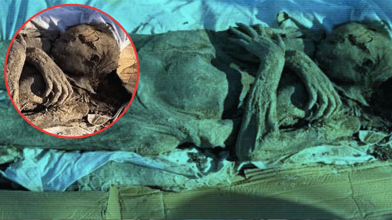 Niğde'de mumya ticareti şoku! Satmaya çalışırken suçüstü yakalandılar