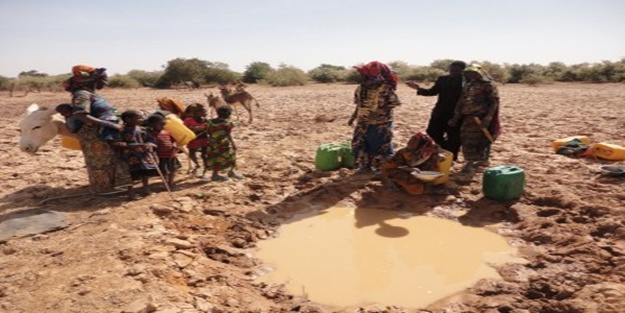 Nijer'de 34 sığınmacı susuzluktan öldü