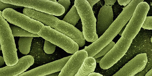 Nijerya'da difteri felaketi