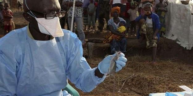 Nijerya'da Lassa ateşi vakası