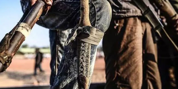 Nijerya'da rehine operasyonu