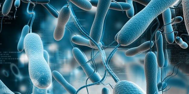 Nijerya'da salgın! Geçen ay 21 kişi öldü