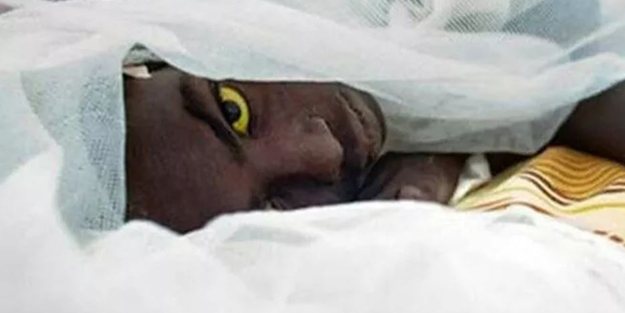 Sarı humma alarmı! 14 kişi hayatını kaybetti