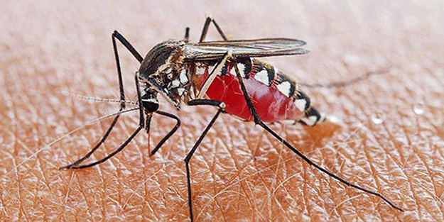 Koronavirüs derken, yeni salgında tehlike giderek artıyor! Afrika ülkesinde çok sayıda ölü