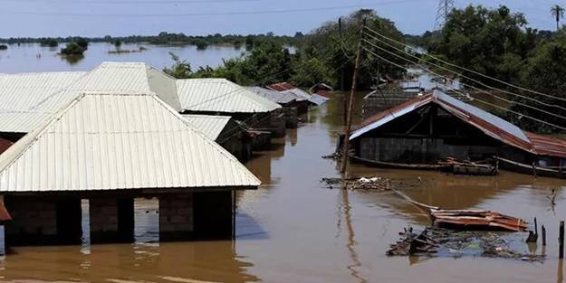 Nijerya'da sel felaketi! Ölüler var