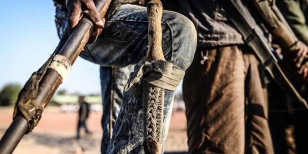 Nijerya'da silahlı saldırı: 36 ölü