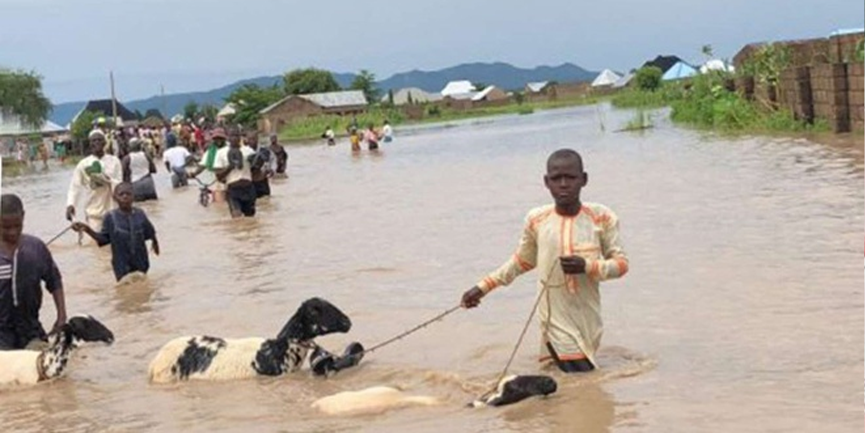 Nijerya'daki yağışlar nedeniyle 2,4 milyon kişi...