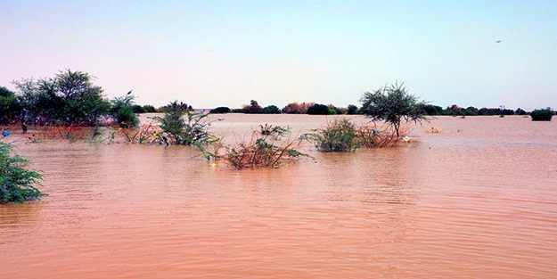 Nil Nehri'nde yüzyılın en yüksek su seviyesi