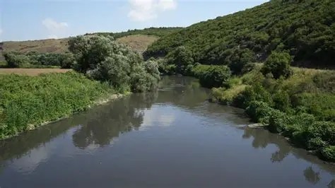 Nilüfer Çayı sanayi atıklarından kurtuluyor!