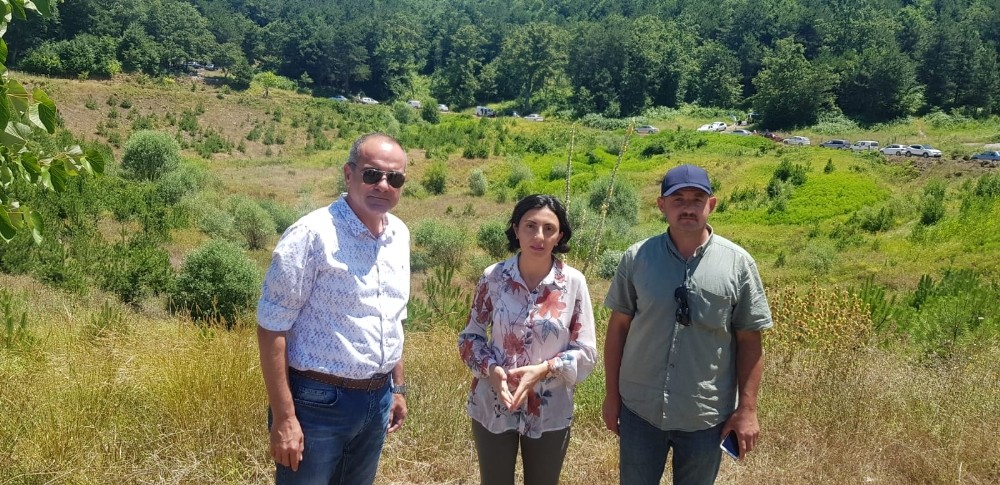 Nilüfer çiçekleriyle ünlü Karagöl yok edildi 