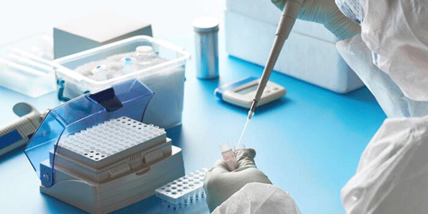 Nipah alarmı! Hindistan'da yarasaların taşıdığı virüs nedeniyle 2 ölü... Okullar ve bankalar kapatıldı