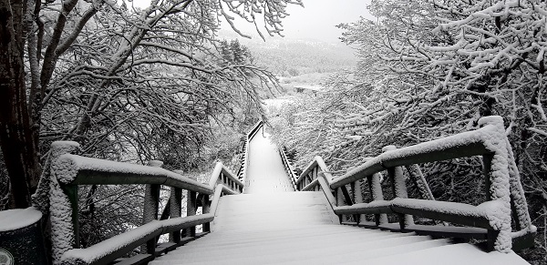 Nisan ayında Abant beyaza büründü