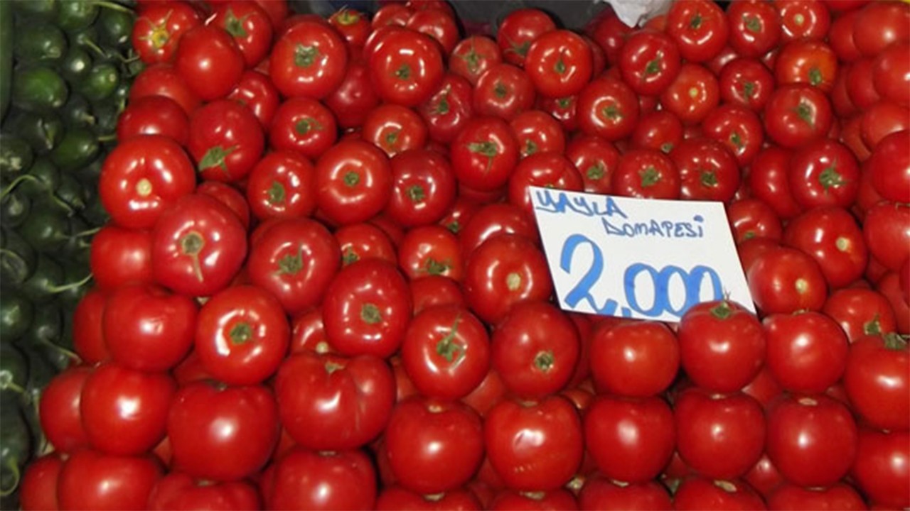 Nisan’da domates fiyatı yüzde 50,54 arttı İstanbul'u salladı