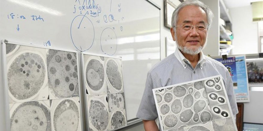 Nobel ödüllü Japon bilim adamından 'oruç' tespiti