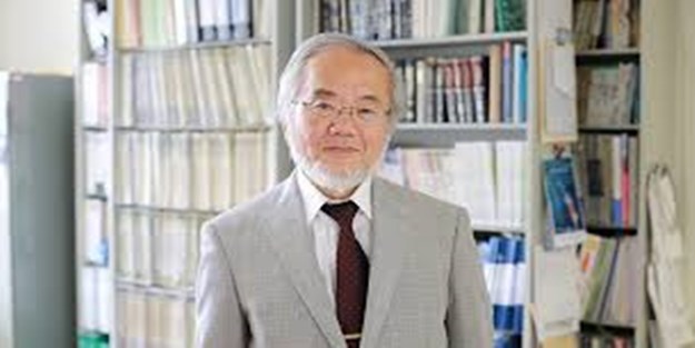 Nobel Tıp Ödülü Japon bilim insanı Yoşinori Ohsumi'ye